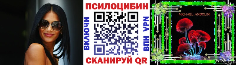 Купить где  Старая Русса  Псилоцибиновые грибы Psilocybe 